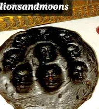 Wild Lettuce Extract Resin , Lactuca Virosa 3 Grams Fresh Homegrown organic