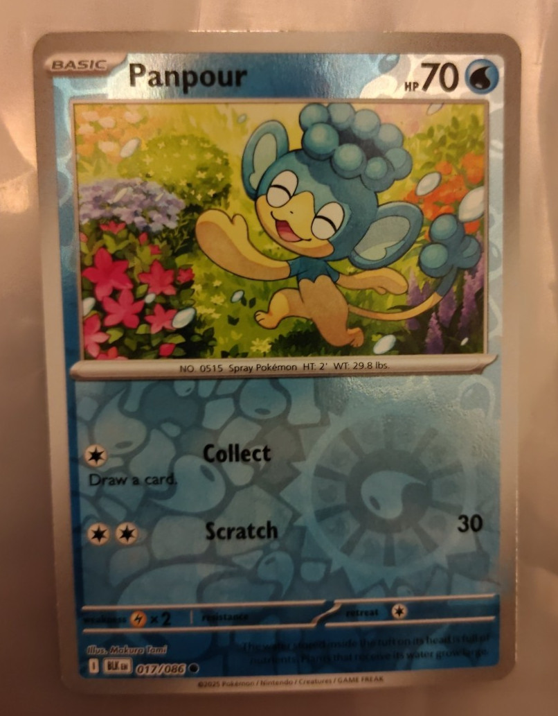 Pokémon TCG Panpour SV Black Bolt 017/086 Common Reverse Holo Near Mint