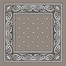 2-sided Print GRAY GREY PAISLEY Bandana SCARVE BANDANNA Head Wrap SCARF Hanky