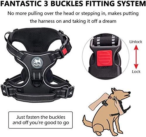 Dog Harness andeash Combo, Escape Proof No Pull Vest Harness, with 5 L Black