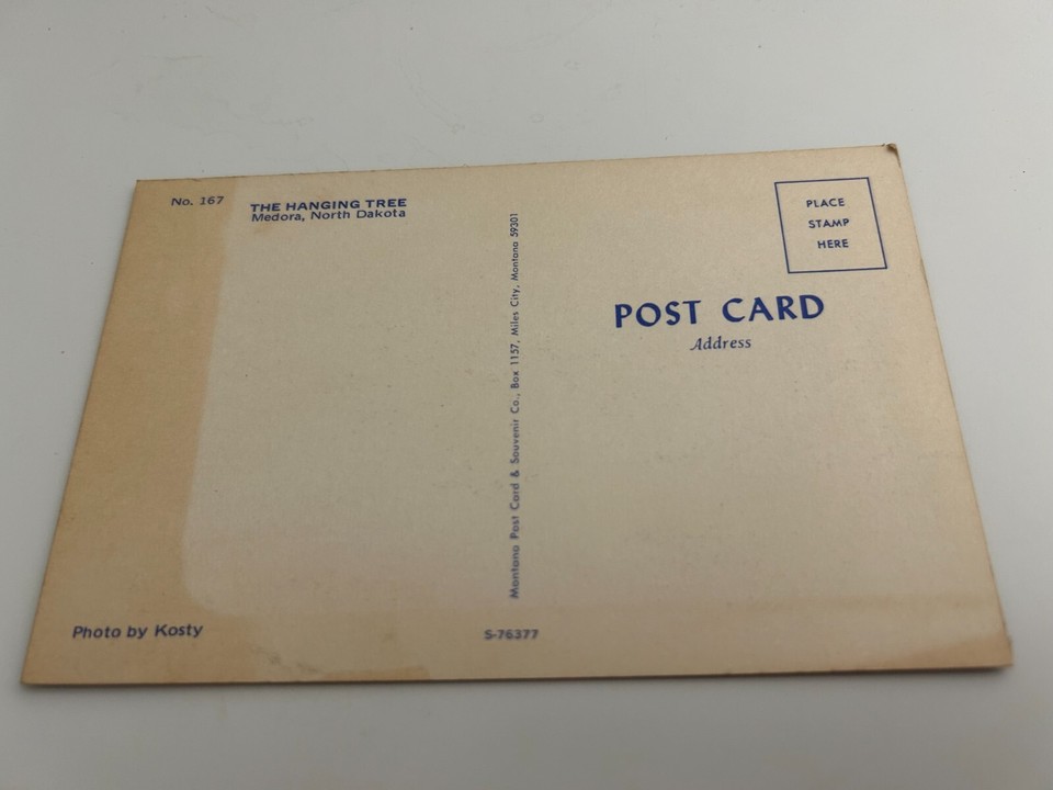 The Hanging Tree Medora North Dakota Postcard eBay