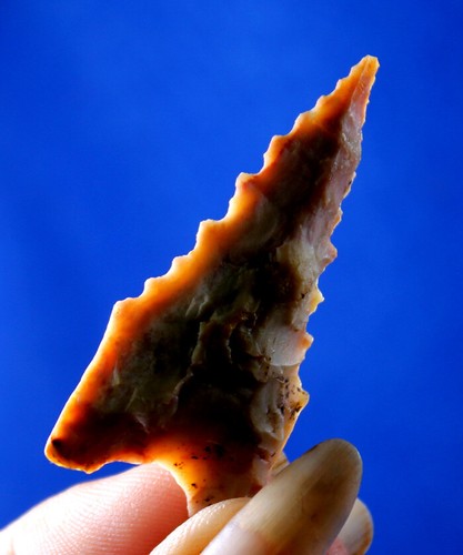 Auténtico artefacto de punta de flecha prehistórico auténtico Dalton Classic Point indio - Imagen 7 de 8