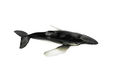 Humpback Whale, Realistic Toy Figurine Model Replica Hand Painted 3" CH446 BB114