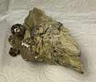 Arsenian Pyrite - Gold Quarry Pit, Carlin Trend, Eureka County, Nevada — photo 10