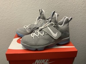 lebron 14 marty mcfly