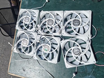 Six Phanteks M25 140mm case fans in white. Model PH-F140M25, 12V 4-pin PWM. Fans