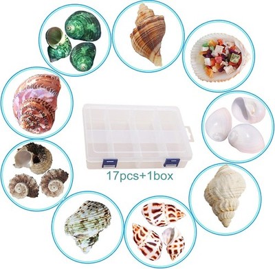 Hermit Crab Shells 17PCS (9 Types) Medium Small Growth Turbo Seashells 0.6-1....
