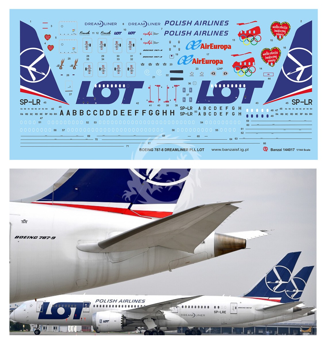 【KAL】B787-8 1/100スケール NG59005.jpg