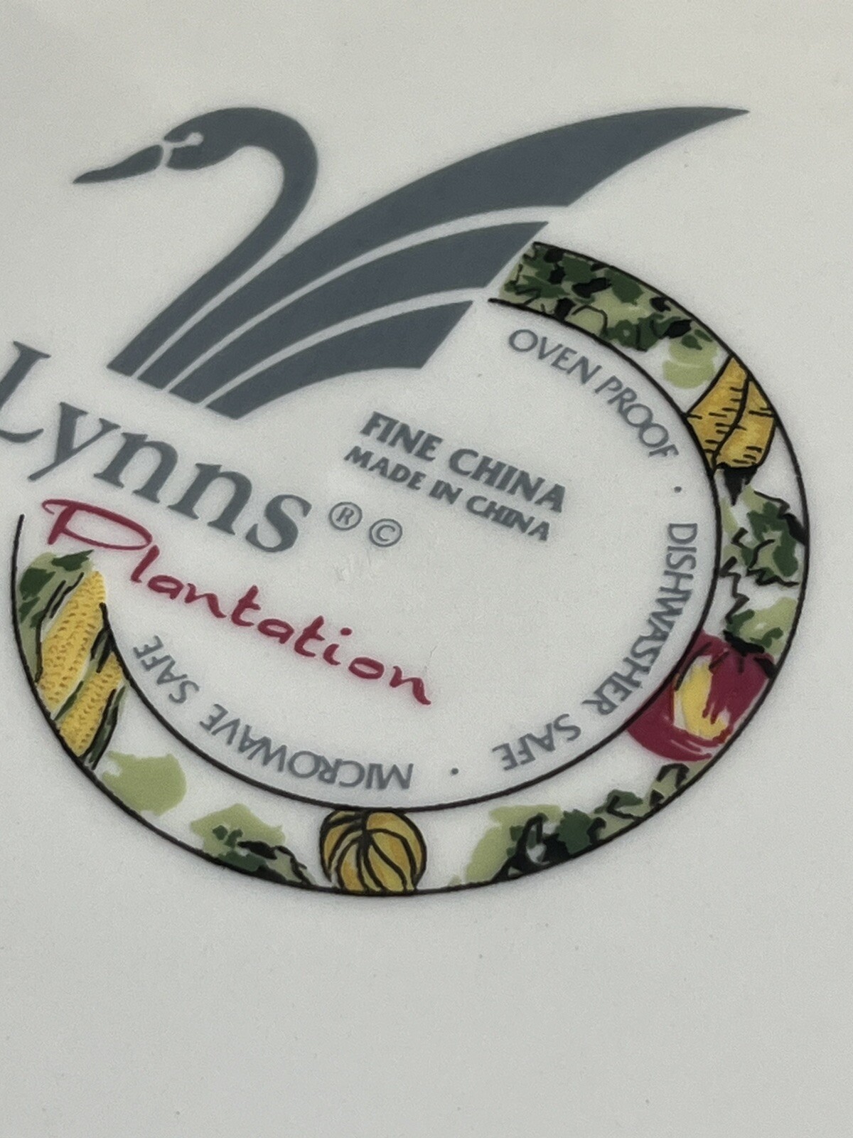 Lynn's Fine China 6- Chop Dinner Plates, Measures 12 “ Vegetable Medley Design