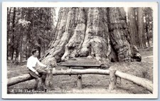 Postcard RPPC CA General Sherman Tree Base Sequoia National Park R27