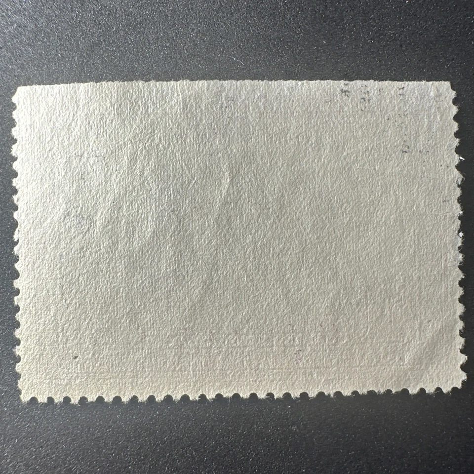 Estampilla de pato 1938 RW5 sin usar coleccionable de colección - sin firma de alta calidad Foto 4 de 4