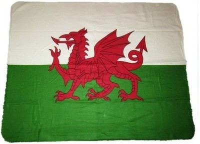 Wales Welsh Britain Old Style Flag Deluxe Polar Fleece 50''X60'' Inch Warm Blanket