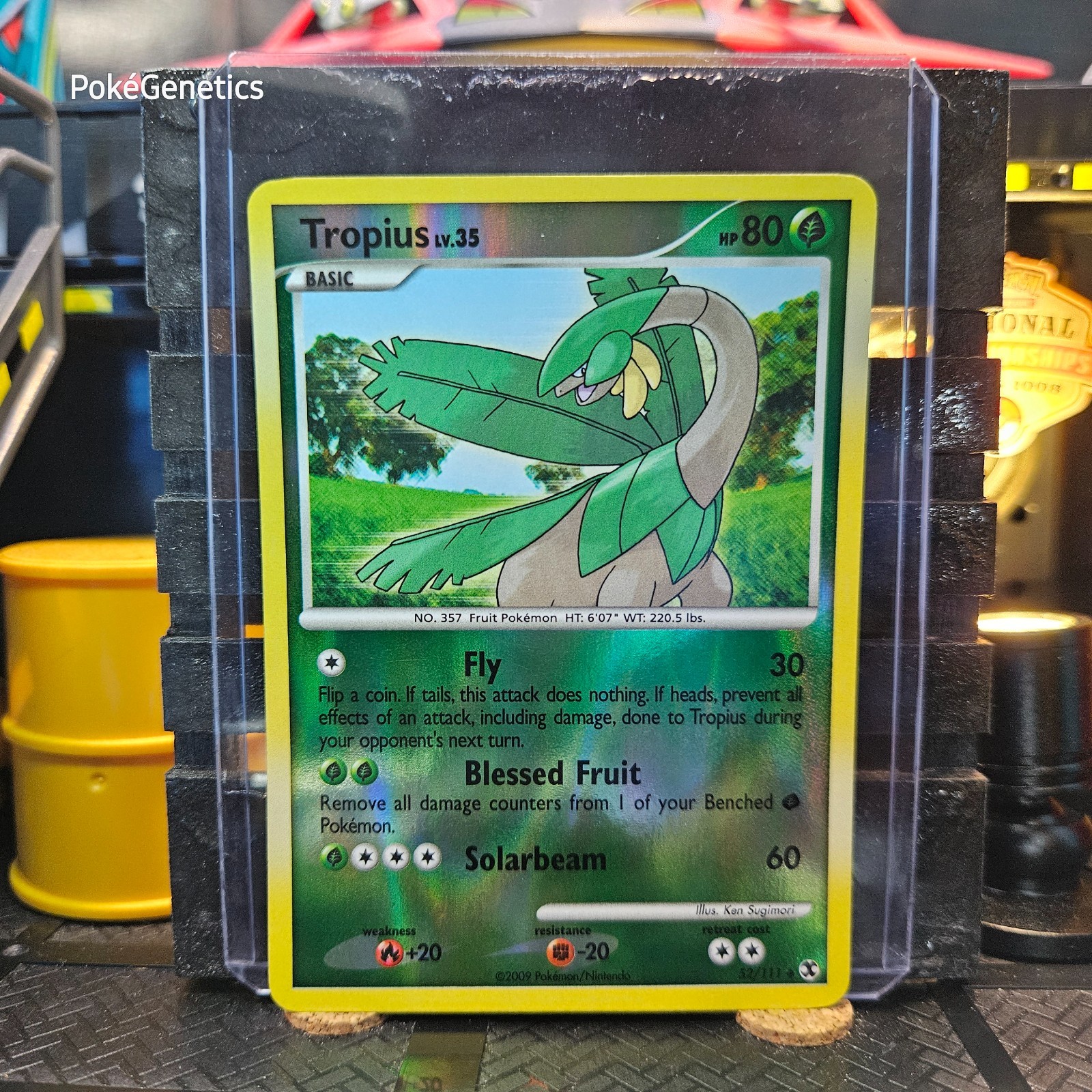Tropius Rising Rivals Reverse Holo Pokémon TCG 52/111 Platinum Uncommon