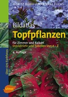 Bildatlas Topfpflanzen FüR Zimmer Und Balkon, Moritz BüRki