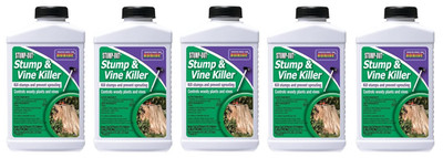 Bonide Vine Stump Killer with Applicator Concentrate 8 Oz, (Pack of 5)