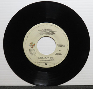 Ambrosia Biggest Part of Me | eBay