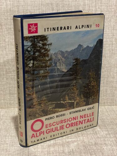 ESCURSIONI NELLE ALPI GIULIE ORIENTALI Piero Rossi Gilic Itinerari Alpini 10