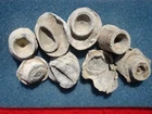 One Civil War Relic Direct Hit Bullseye Mushroomed Bullet Chattanooga, Tennessee