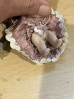 Bild 8 von 10