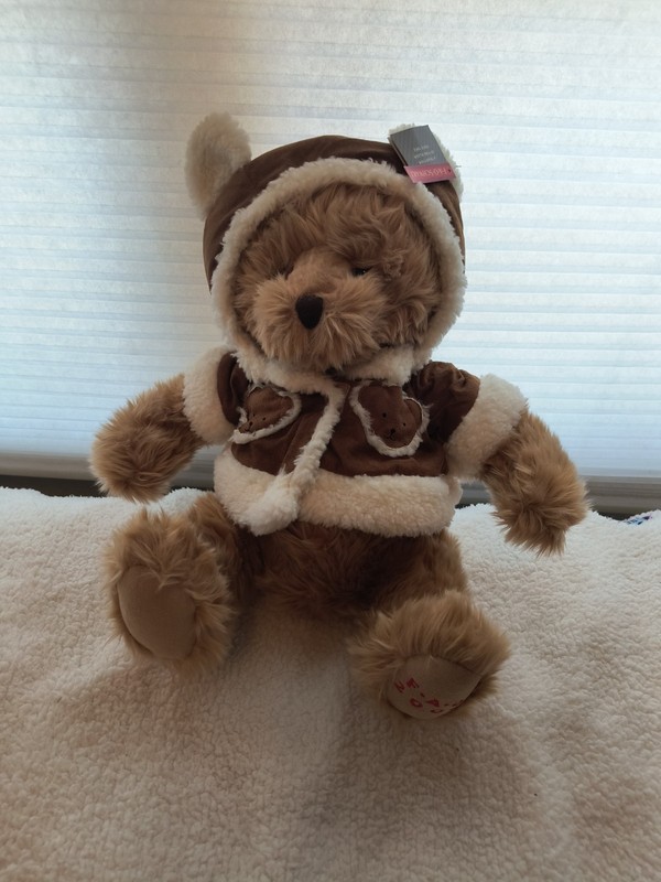 fao schwarz teddy bear