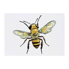 'Honey Bee' Temporary Tattoos / Transfers TO00074533 