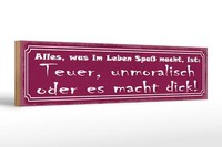 Holzschild Spruch 46X10 Cm Alles Was Spaß Teuer Unmoralisch Deko Schild