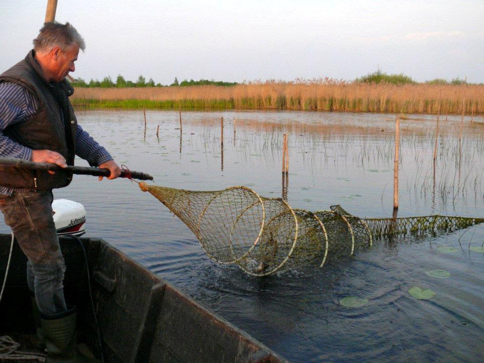 Aal Wildfang 1Kg Steinhuder Räucheraal Räucherfisch Rauch aal Fische geräuchert