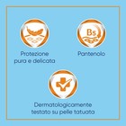Foto 12 di 12