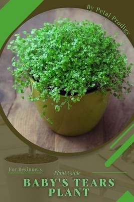 Baby's Tears Plant: Prodigy Petal, Plant Guide by Andrey Lalko Paperback Book