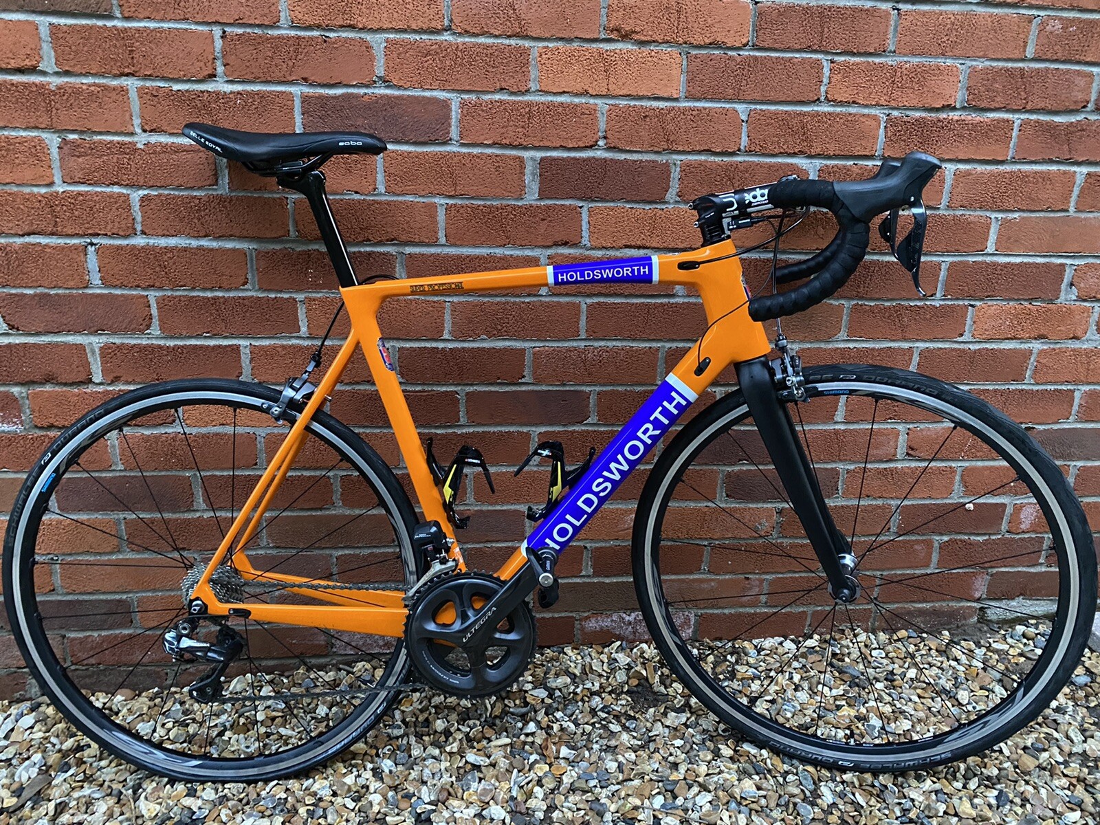 giant tcr large frame size