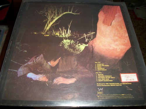 Echo And The Bunnymen – Crocodiles - LP - 1980 - Korova - Bild 2 von 2