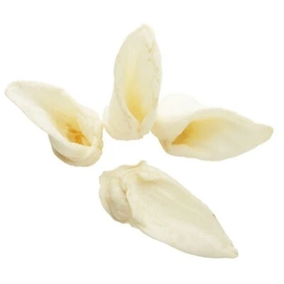 KAJO PETS Natural LAMB Ears Dog Chews Dental Bulk Treats LOW FAT Made in USA LIKE RedBarn