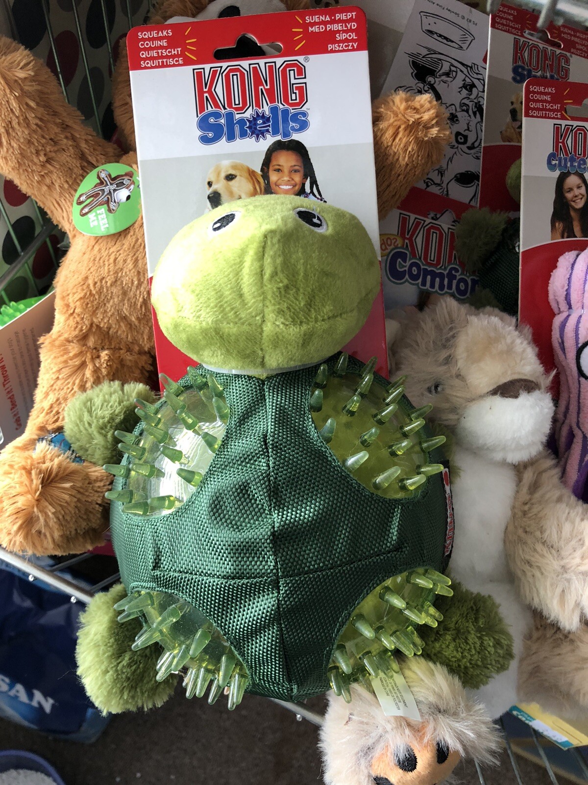 kong shells turtle dog toy