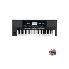 KORG Professional Arranger Pa300 61-Key Electronic Keyboard