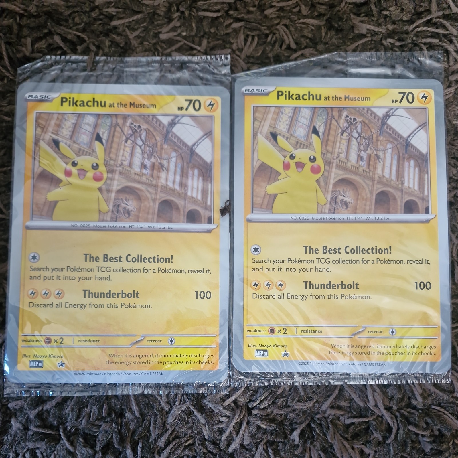 2 x Pokemon Pikachu at the Museum Jumbo Promo Sealed International Ship in Box