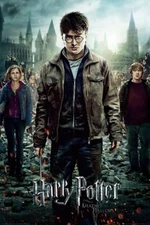 Harry Potter And The Deathly Hallows Part 2 - Movie Poster (Regular) (24" X 36")
