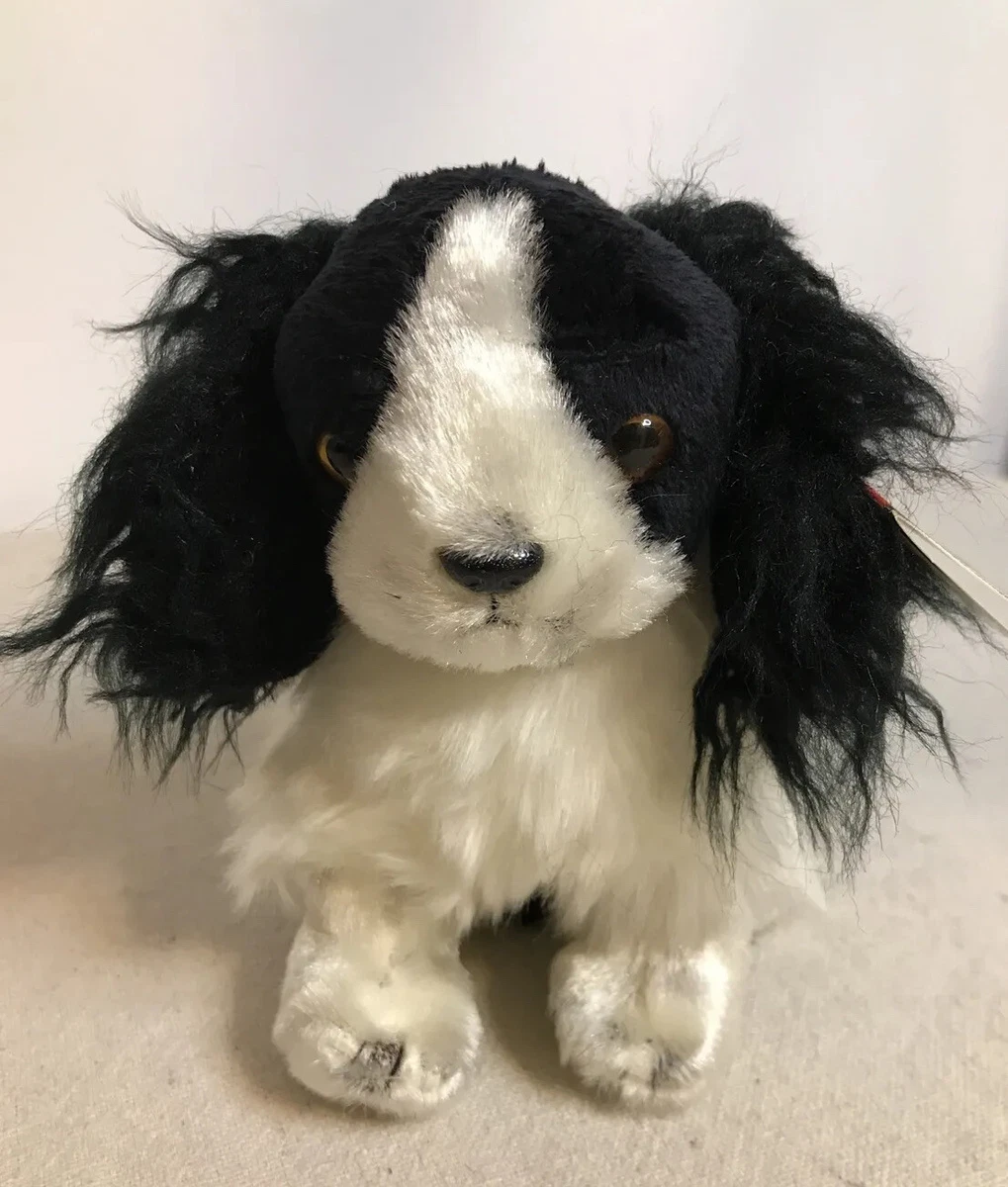 Merle springer cheap spaniel
