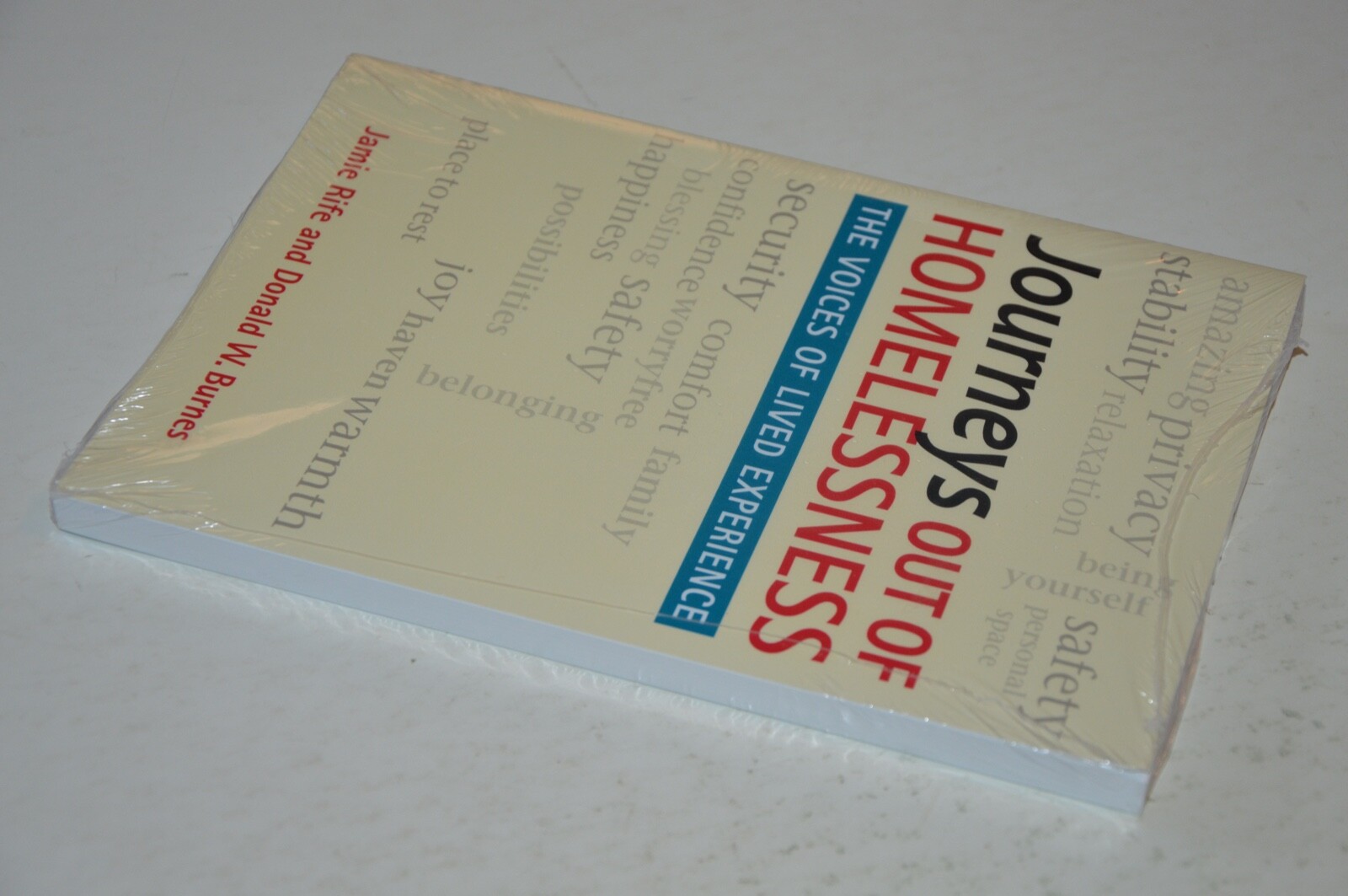 Jamie Rife Journeys Out of Homelessness : The Voices of Lived Experience by Donald ...