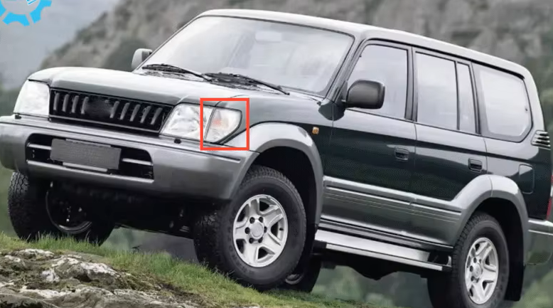 lifewithplants LAND CRUISER PRADO Toyota Landcruiser ZX Vs