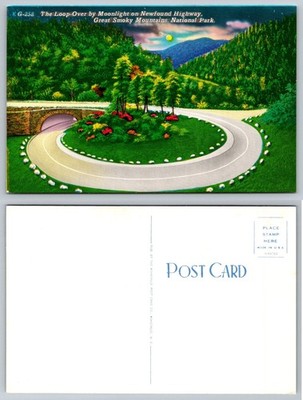 Moonlight Loop-Over Newfound Highway Great Smoky Mountains Linen Postcard