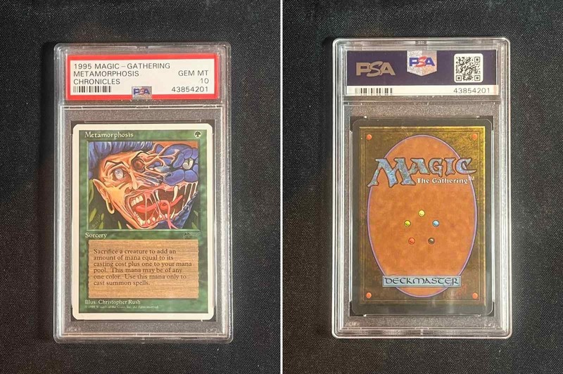 ๐ข๐ข๐ข 1995 Magic The Gathering CHRONICLES METAMORPHOSIS PSA 10 POP 2 ๐ข๐ข๐ข