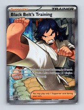 2026 Pokemon Black Belt's Training ME: Ascended Heroes 255/217 Ultra Rare NM