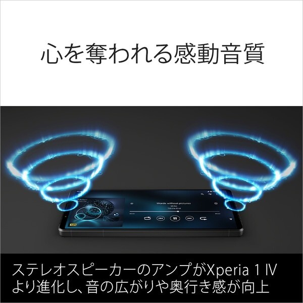Sony Xperia 1 V XQ-DQ44 512GB 16GB RAM Dual SIM Unlocked 6.5