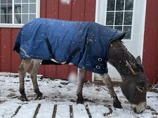 Donkey Longear Winter Turnout Blanket - standard donkey