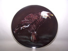 Set of 3 EAGLE Plates and 30" Rack Collectors or Decorative Wall Man Cave Cabin — photo 4