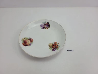 Große Servierplatte Teller 33cm Porzellan Obstdekor Bunt CT Altwasser #2510314 - Bild 1 von 4