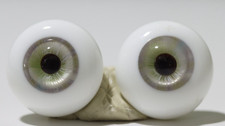 18mm Dealer Glass Eyes Gray Green BJD