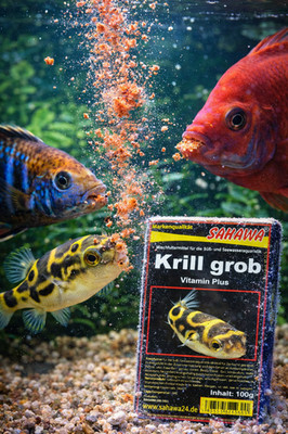 Krill grob Frostfutter 15 x 100g Blister SAHAWA   Nährstoffreiches Fischfutter
