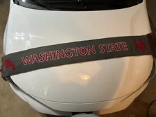 Washington State Scarf