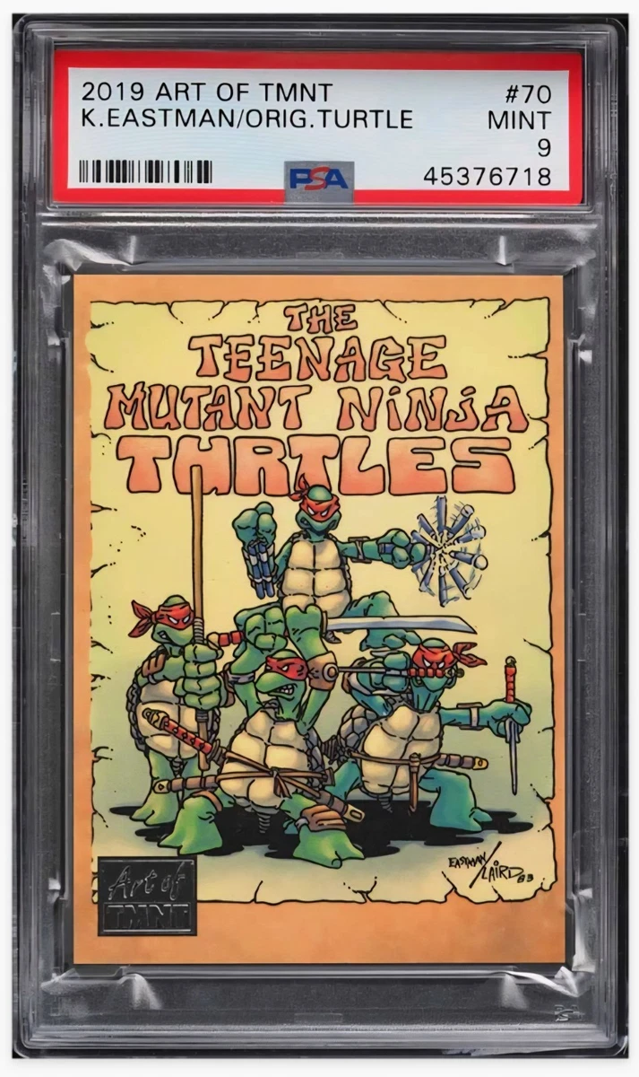 Teenage Mutant Ninja Turtles Adventure Collectable Trading Cards